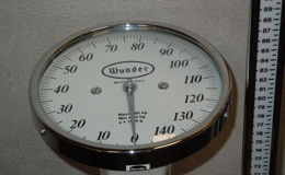 shapeimage_1_(2)